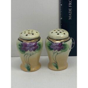 vintage hand painted salt and pepper shakers